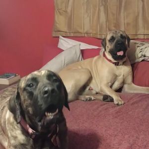 Meet your Posher, Margaret